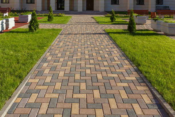 Best Driveway paver repairs and maintenance in Clermont, FL